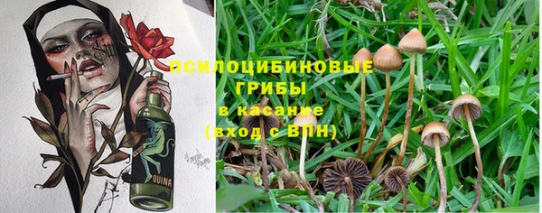 молекула духа Армянск
