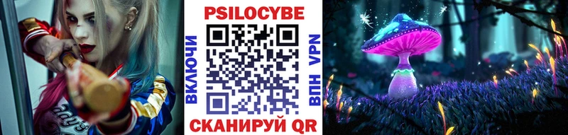 Галлюциногенные грибы Psilocybe  Пестово 